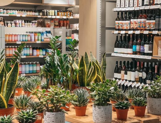 OTOTO Store Amzei
