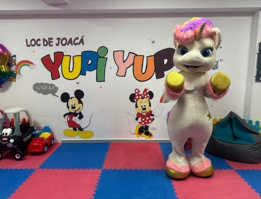 Yupi Yup Loc de joaca/Petreceri